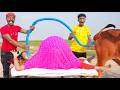 Funniest Fun Top New Comedy Video 2025 😂 amazing best of funny video Episode 167 by Fun Tv 420