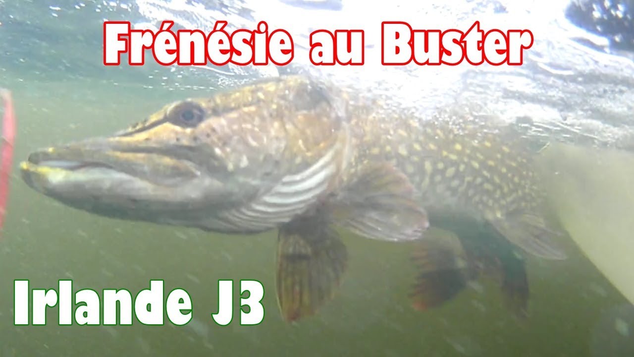 GROS BROCHET AU BUSTER JERK :  Pêche en Irlande Lough Derg J3