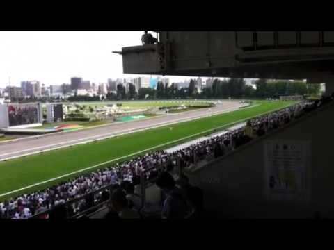 2012札幌記念スタート