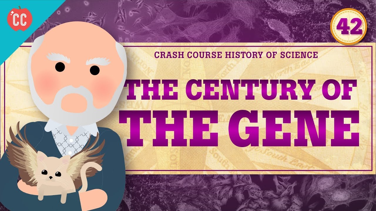 ⁣The Century of the Gene: Crash Course History of Science #42