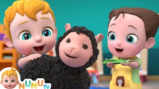 Mary Had A Little Lamb + More Kids Songs | NuNu Tv Nursery Rhymes