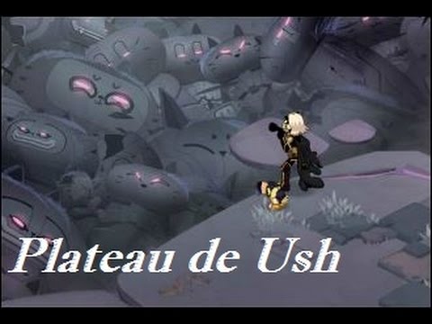 Dimension Ecaflipus : Donjon Plateau de Ush à 4