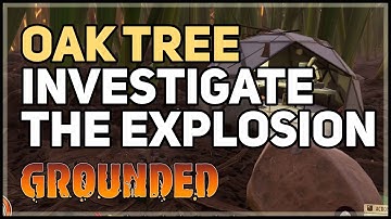 Investigate the explosion at the Oak Tree Grounded