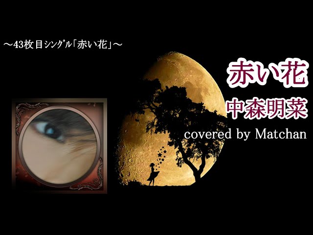中森明菜『赤い花』歌ってみた｜フル（歌詞付き） - YouTube