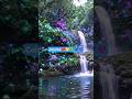Colorful falls