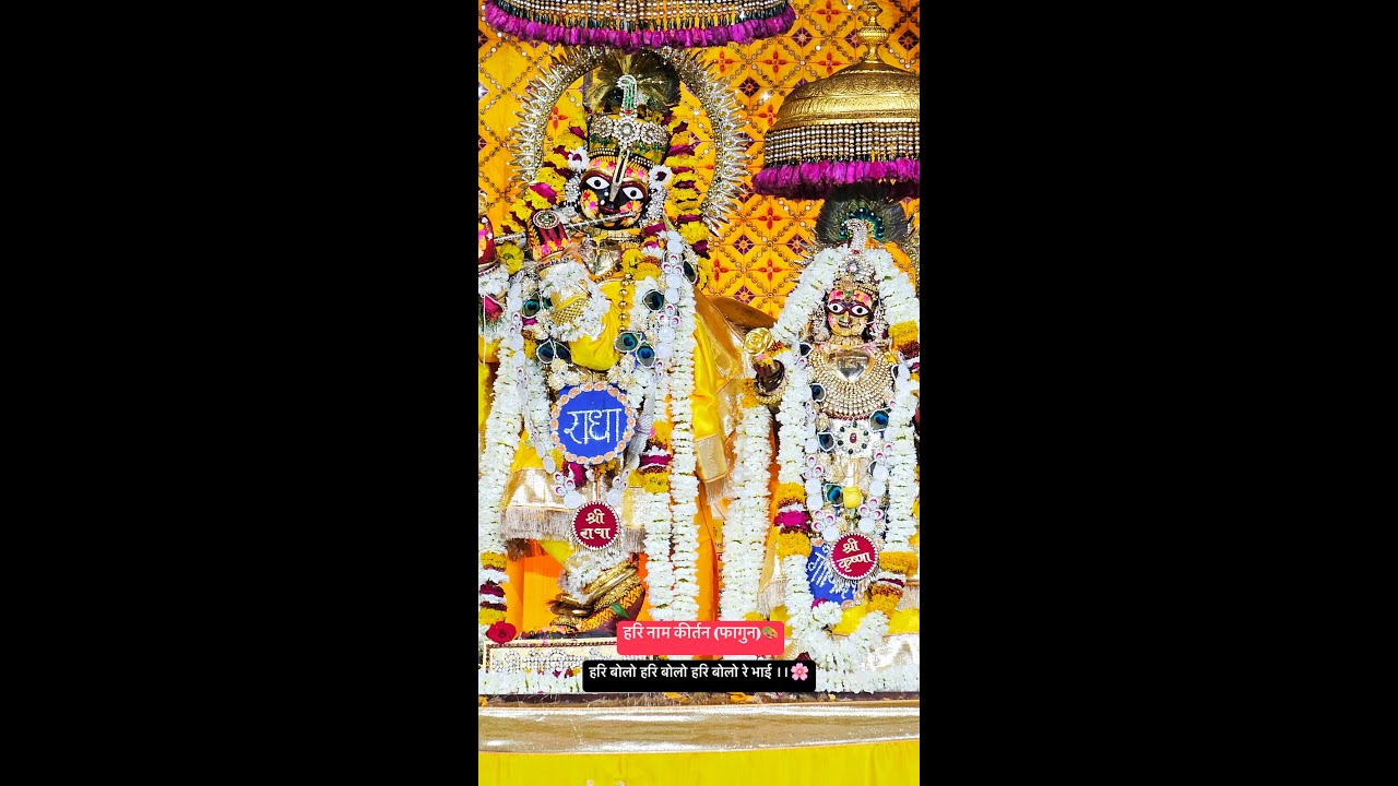 हरि बोलो हरि बोलो हरि बोलो रे भाई, होली कीर्तन श्री राधा गोविंद देव जी जयपुर ||🫶💗