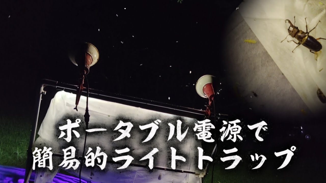 昆虫採集】ポータブル電源でお手軽ライトトラップ‼️ - YouTube
