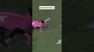 They set a new record for the longest catch at a live sports event #dog #catch