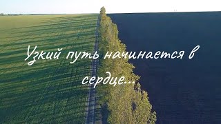 Узкий путь начинается в СЕРДЦЕ ❗❤️🙏🕊️ || стихи христианские.