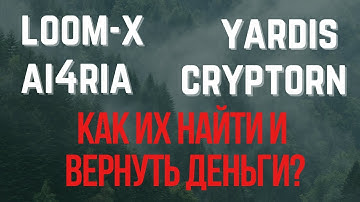 YARDIS, LOOM-X, BITRONIX, Ai4RIA - как ИХ найти и вернуть деньги (наказать)?