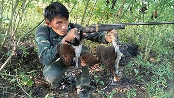 yos hav zoov tua qaib qus