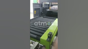 Continuous Vertical Chain Lifter