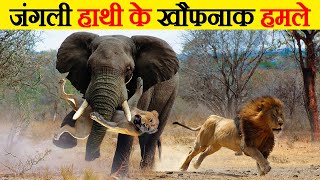 जंगली हाथी के सबसे  खौफनाक हमले  | Rude Elephants Moments Mercilessly On The Prowl For Anything