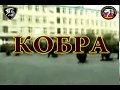 22 ОБрОН КОБРА М.Акимов