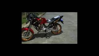 Story Wa Tiger Revo Herex
