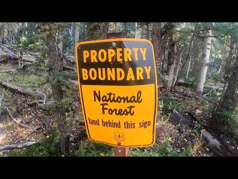 My New Quaint Off-Grid Colorado Community Tucked Away DEEP In The Forest...