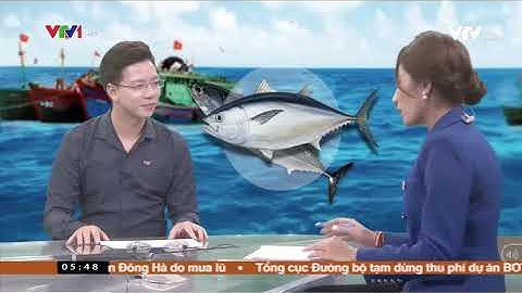 Giải pháp đẩy mạnh xuất khẩu cá ngừ của Việt Nam sang EU