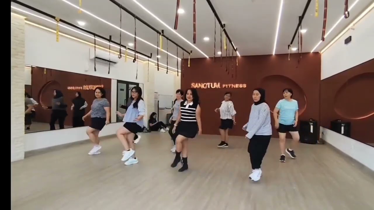 Skibidi Boppy Line dance 