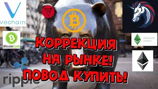 XRP рипл прогноз, Биткоин прогноз, Эфириум, Эфириум классик, DASH, VET, BCH, REEF. TRB, VTHO, CHZ