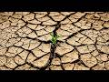 World Desertification Day Explained: Causes, Impacts & Global Solutions to Stop Land Loss