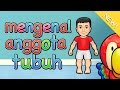 Download Belajar Mengenal Anggota Tubuh Belajar Mengenal Anggota Tubuh