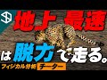 【チーター】地上最速が使う脱力のメカニズムとそのトレーニング方法【YouTube体育大学 フィジカル分析 】