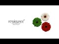 Renaissance: The Mix Collection (Part 3) (CD3)