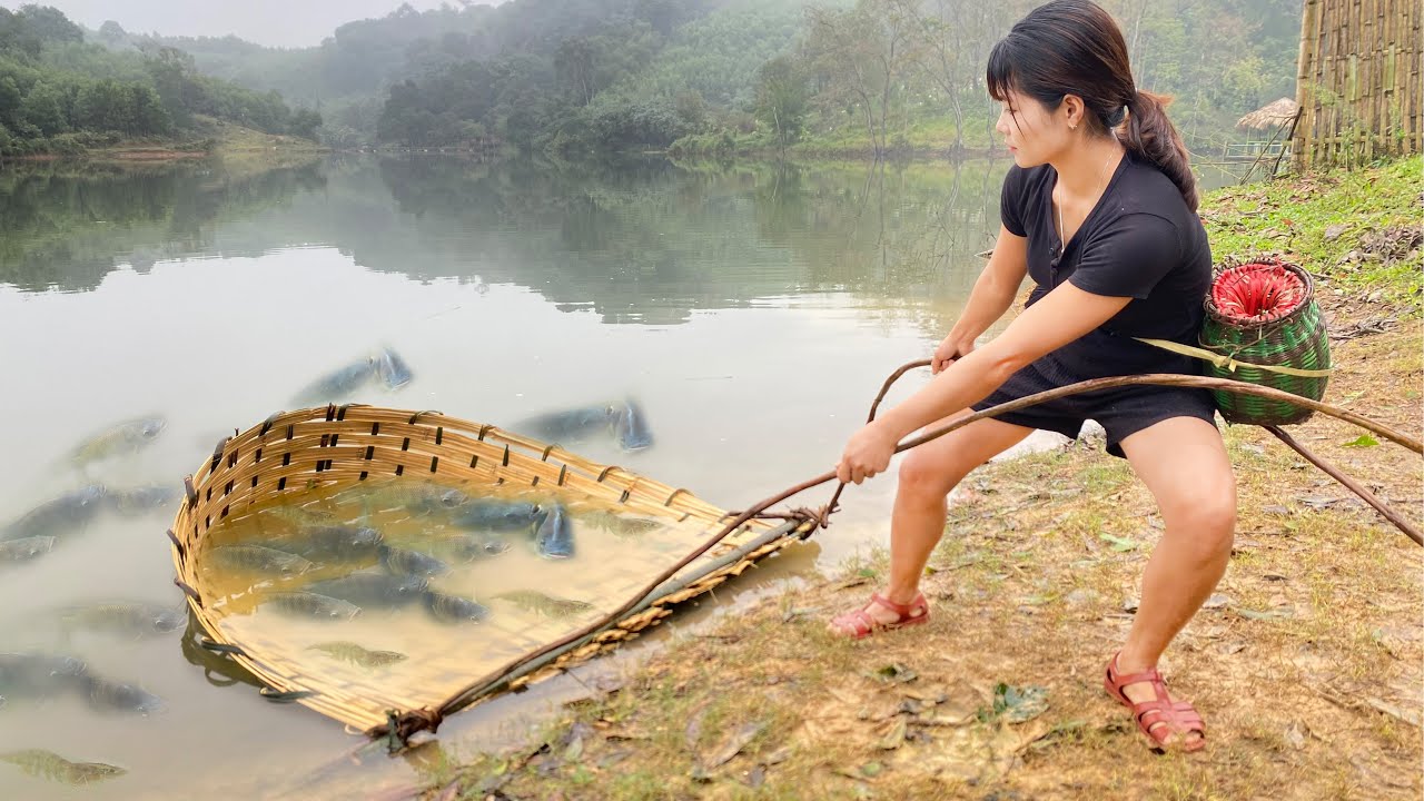 Best Fishing Video : How To Make Traditional Fishing Trap From Bamboo ...