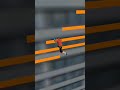 Roof to Roof Jumping! 🏗️ Parkour 3D Adventure#shortvideo  #newtrend