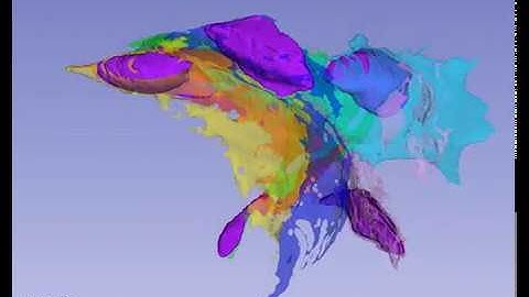 Zebrafish lymphatic valve