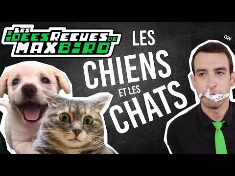 IDÉE REÇUE #48 : Les chiens et les chats