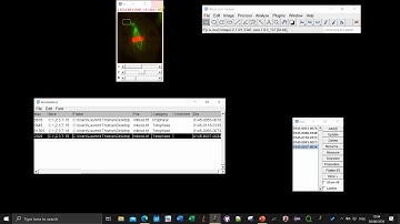 Qualitative image-annotations in Fiji