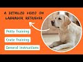 How to Train a Labrador Retriever - (Obedience, Potty &amp; Crate Training)