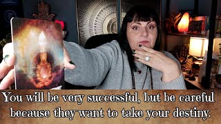 You will be very successful, but be careful because they want to take your destiny  tarot reading