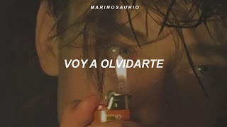 Reik - Voy A Olvidarte (Letra)