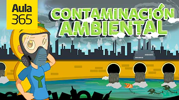 ¿Cómo contaminamos nuestro medio ambiente?