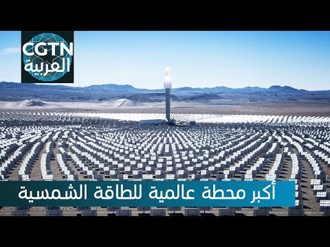 فيديو: أين توجد أكبر مزرعة للطاقة الشمسية في الولايات المتحدة؟