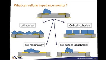 Measuring the Growth of Microbial Biofilms in Real-Time: Evidence, Insights and Applications