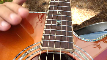 Custom String Height Adjustment on a Zager Easy Play Guitar