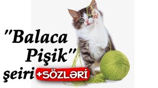 Balaca pisik 🐈 Pisik seiri