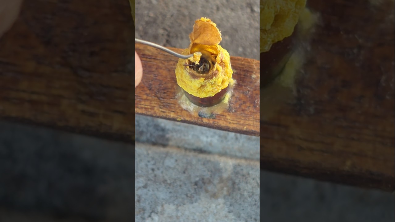 I help my new queen bee.