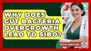 Why Does Gut Bacteria Overgrowth Lead To SIBO? - Sensitive Stomach Guide