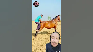 أغرب طريقة لركوب الحصان كيف هذا 