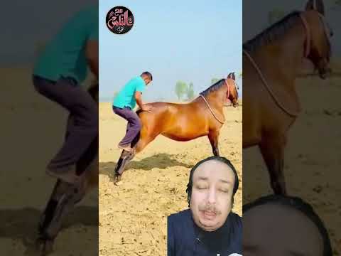 فيديو: هل يمكنك أن تأكل نهر ريدهورس؟