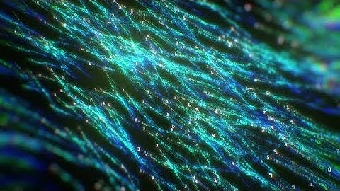 Binary Codes | Motion Graphics - Videohive template