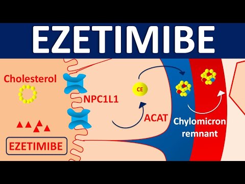 Ezetimibe - Mechanism, side effects, precautions & uses