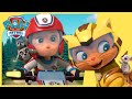 PAW Patrol and Cat Pack Save the Day and more episodes! | PAW Patrol | Cartoons for Kids Compilation