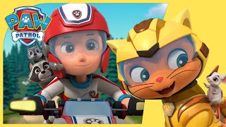 PAW PATROL AND CAT PACK SAVE THE DAY AND MORE EPISODES!