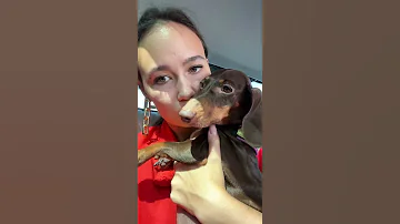ПОЧЕМУ ЧАПИ СТУЧИТ ЗУБАМИ?🐶