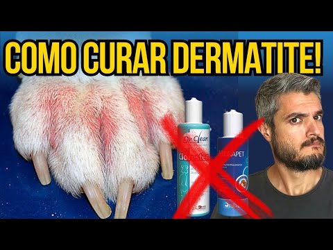 Vídeo: Quais suplementos naturais posso dar um cão com coceira na pele?